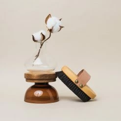 The Ionic Dry Brush Brosse Corps Ionique -Dermalogica Soldes 07 2021 Ruhi encart inspiration Ionic Brush2TINY