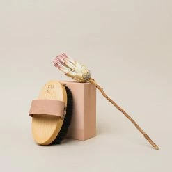 The Ionic Dry Brush Brosse Corps Ionique -Dermalogica Soldes 07 2021 Ruhi encart inspiration Ionic Brush4TINY. 20b7274c 135b 42ab b205 0409253a92a8