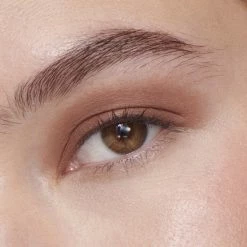 Liquid Powder Matte Eye Tint Fard à Paupières Crème Mat -Dermalogica Soldes Liquid Powder Matte Comparision Grid TANNIN