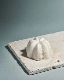 Le Shampoing Solide Doux 8 Le Shampoing Solide Doux -Dermalogica Soldes SHAMP BULLES 1